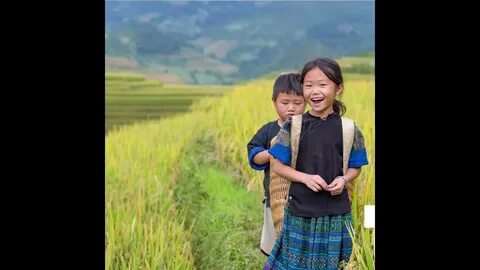 Sự Bùng Nổ Của Video Ngắn và Trí Tuệ Nhân Tạo: Vai Trò Thiết Yếu Của Đào Tạo Kỹ Năng Sáng Tạo Nội Dung_dịch vụ chỉnh sửa video cho doanh nghiệp nhỏ