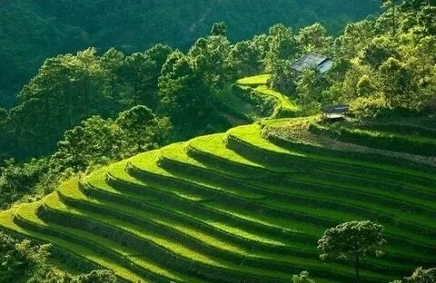 Sự Bùng Nổ Của Video Ngắn và Trí Tuệ Nhân Tạo: Vai Trò Thiết Yếu Của Đào Tạo Kỹ Năng Sáng Tạo Nội Dung_Cuộc thi khởi nghiệp