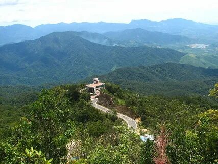 Xu hướng 3 kiểu giày