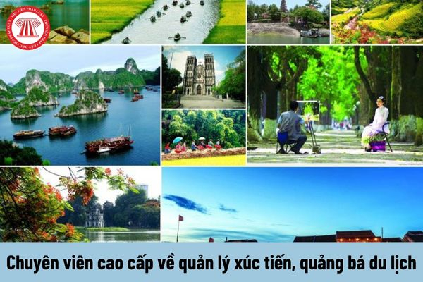 Freelancer Và Cơ Hội Kiếm Tiền Từ Nền Tảng Hotspot Matrix_Ý tưởng video ngắn