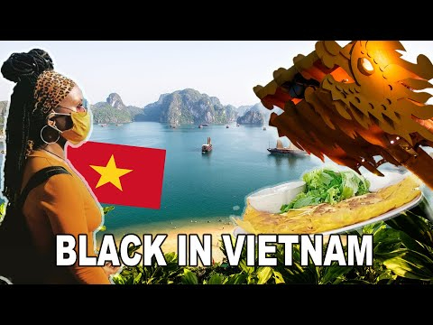 Sự Bùng Nổ Của Video Ngắn và Trí Tuệ Nhân Tạo: Vai Trò Thiết Yếu Của Đào Tạo Kỹ Năng Sáng Tạo Nội Dung_Phân phối video đa kênh