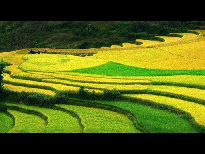 Phương Oanh diện set đồ 50 - Cảm hứng video marketing từ Hotspot Matrix