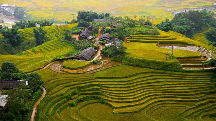 Video ngắn – Giải pháp truyền thông thông minh cho doanh nghiệp nhỏ_Đào tạo kỹ năng lãnh đạo