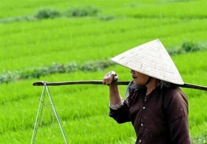 Hotspot Matrix – Kết thúc hành trình 3 ngày rực rỡ tại SECC 2025